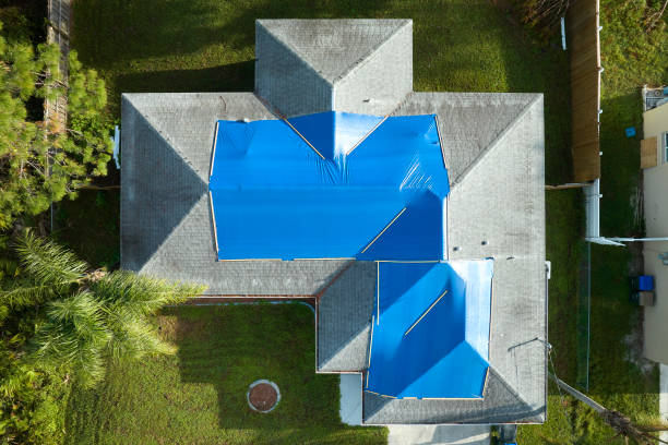 Best Steel Roofing  in Corunna, MI