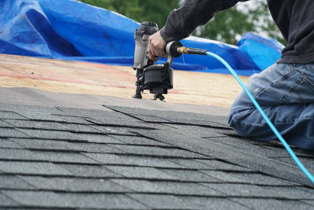 Best Chimney Flashing Repair  in Corunna, MI