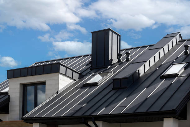 Best Skylight Installation and Repair  in Corunna, MI